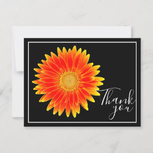 Carte Postale Orange Daisy Flower Black Arrière - plan Merci
