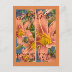 CARTE POSTALE ORANGE DAYLILIES SIGNETS
