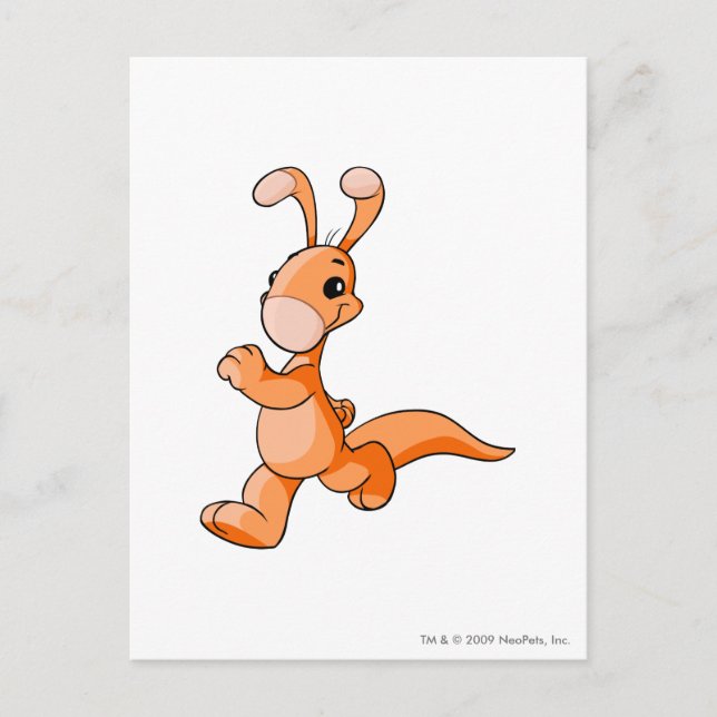 Carte Postale Orange de Blumaroo (Devant)