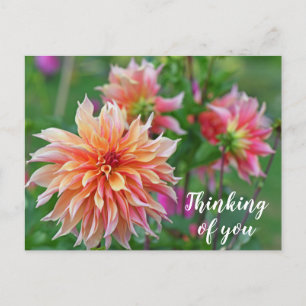 Carte Postale Orange et rose Dahlia Flower Penser à vous