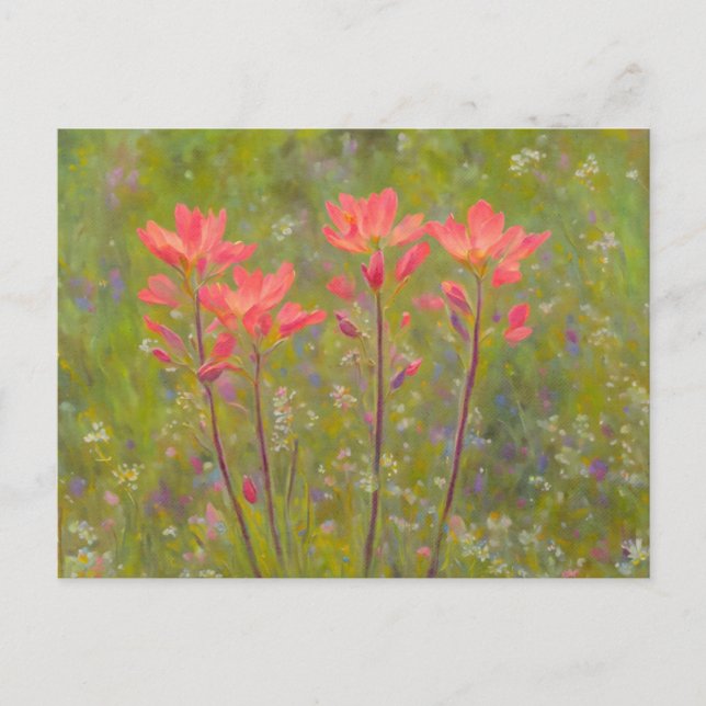 Carte Postale Orange Fleur sauvage Pinceau Indien Floral (Devant)