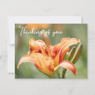 Carte Postale Orange Lily Pensant À Vous