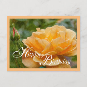 Carte Postale Orange Rose Painterly