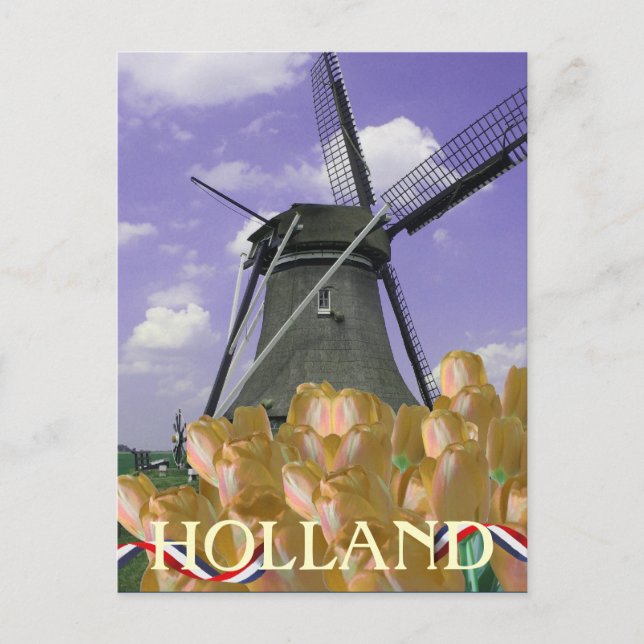 Carte postale Orange Tulips Wmill Art Holland (Devant)
