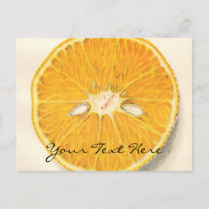 Carte postale orange vintage