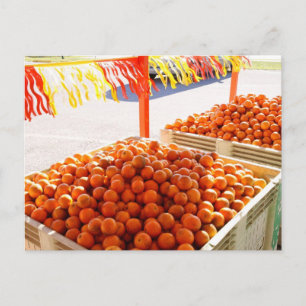 Carte Postale Oranges de Floride