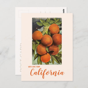 Carte postale Oranges de la Californie vintage
