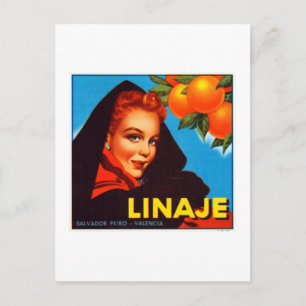 Carte Postale Oranges de Linaje Valencia
