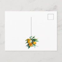 Carte postale oranges et fleurs