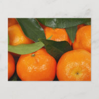 Oranges mandarines