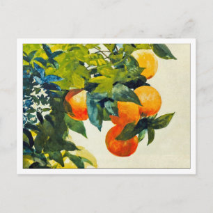 Carte Postale Oranges sur une branche par Winslow Homer