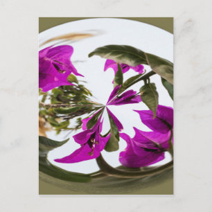 Carte Postale Orbe de fleurs violettes et blanches