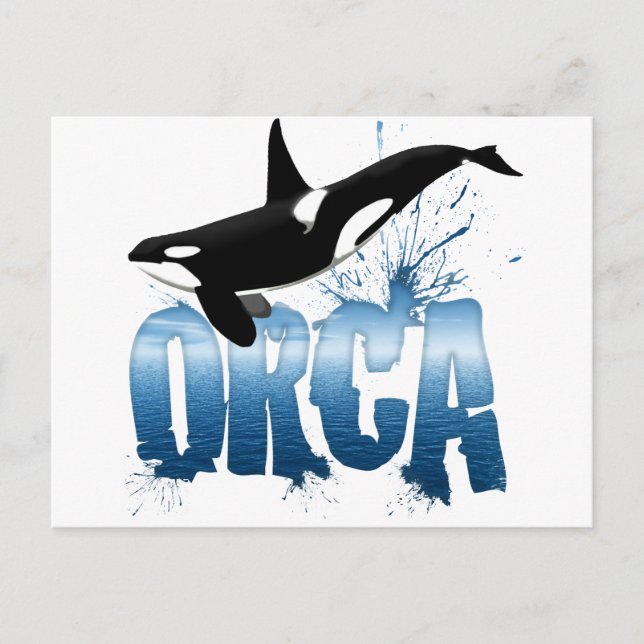 Carte Postale Orca (Devant)
