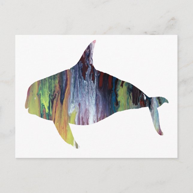Carte Postale Orca (Devant)
