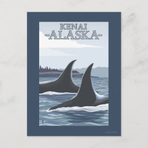 Carte Postale Orca Baleines #1 - Kenai, Alaska
