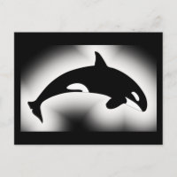 Orca Tueur Baleine Noir Blanc