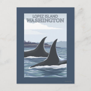 Carte Postale Orca Whales #1 - Lopez, Washington