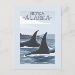 Carte Postale Orca Whales #1 - Sitka, Alaska