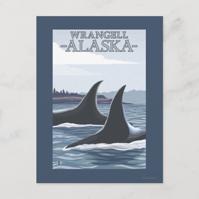 Carte Postale Orca Whales #1 - Wrangell, Alaska (Devant)