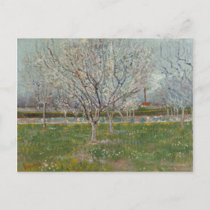 Carte Postale Orchard en fleurs Plum Trees par Vincent Van Gogh