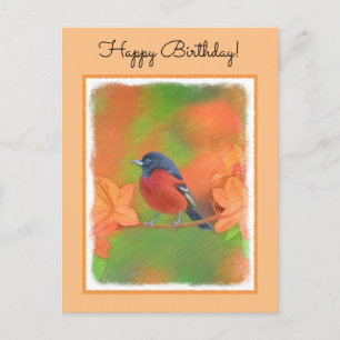 Carte Postale Orchard Oriole Songbird Peinture Oiseau original