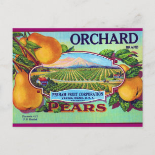 Carte Postale Orchard Pears
