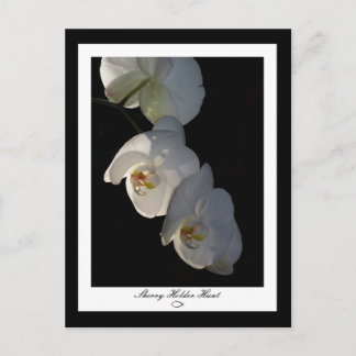 Carte postale Orchid 002