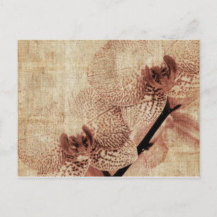 carte postale orchidée