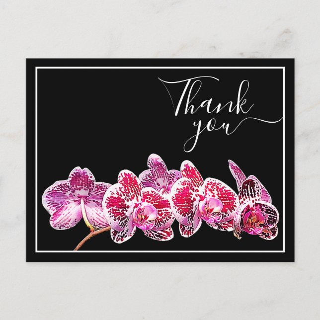 Carte Postale Orchidée aux Veines Rouges sur Fond Noir Merci (Devant)