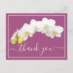 Carte Postale Orchidée blanche moderne Élégante remerciement bot