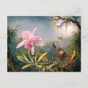 Carte Postale Orchidée de Cattleya et trois colibris