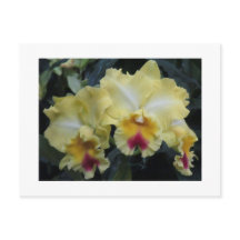 Carte postale orchidée jaune