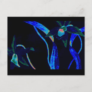 Carte Postale Orchidée nocturne