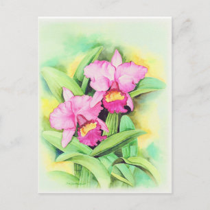 Carte Postale Orchidée rose - Art - Multi