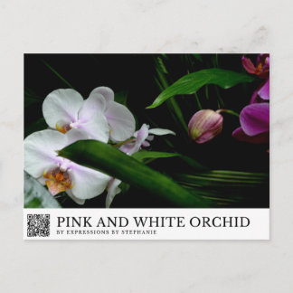 Carte Postale Orchidée rose et blanche