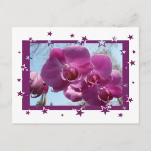 Carte Postale Orchidée violette