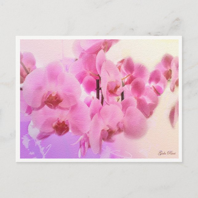 Carte Postale orchidées (Devant)