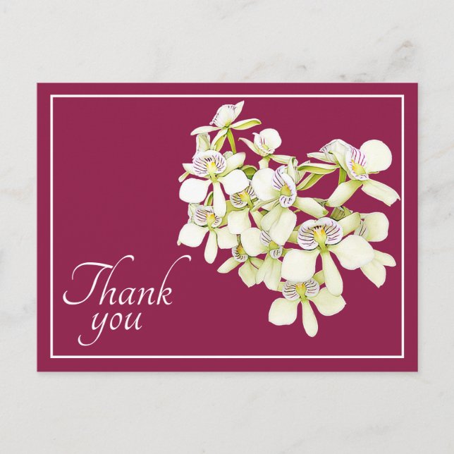 Carte Postale Orchidées à veines blanches sur fond cramoisi Merc (Devant)