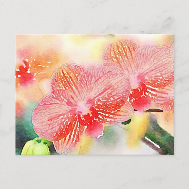 Carte Postale Orchidées aquarelles (Devant)