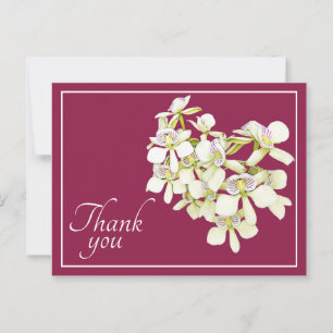 Carte Postale Orchidées blanches Crimson Arrière - plan Merci