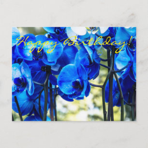 Carte Postale Orchidées bleues