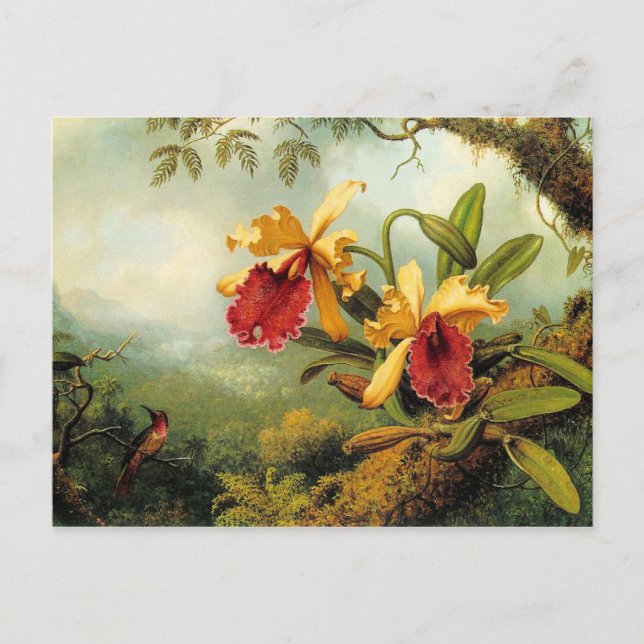 Carte postale Orchidées et colibris (Devant)