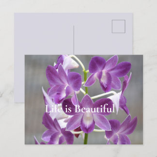 Carte Postale Orchidées violettes Kauai Hawaii