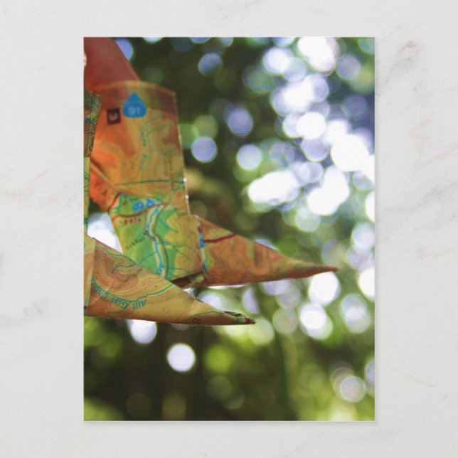 Carte Postale Origami (Devant)