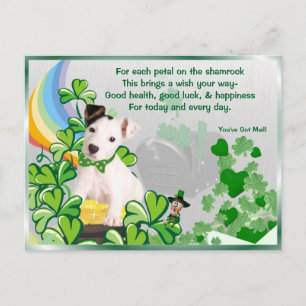Carte Postale Original Jack Russell St Pattys Vous avez le courr