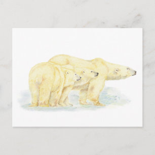 Carte Postale Originale Aquarelle Ours Polaire Famille Animal