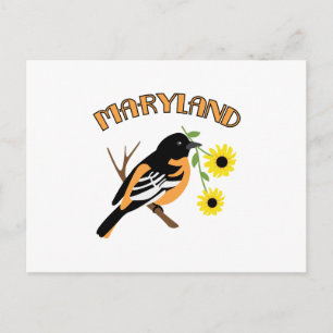 Carte Postale Oriole du Maryland