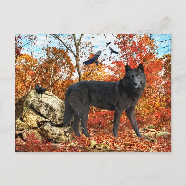 Carte postale "Orion & The Crows" (Devant)