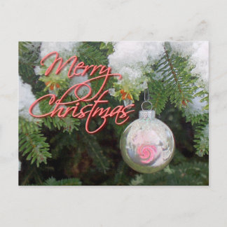 Carte Postale ORNEMENT ROSE & ARGENT SUR ARBRE par SHARON SHARPE