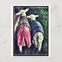 Carte Postale Orphelin